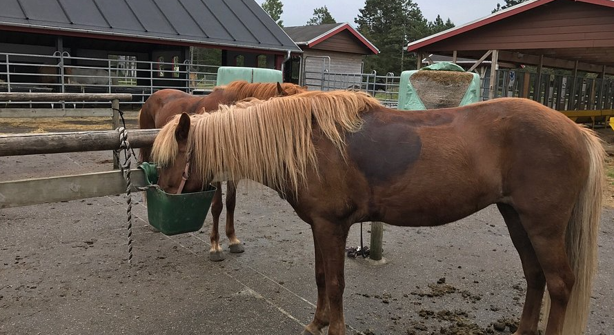 Rømø Lege- &amp; Labyrintpark, Rømø, Denmark